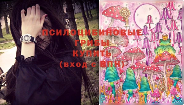 прущая мука Алзамай