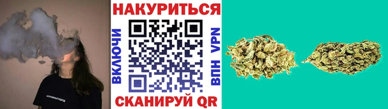 Бошки марихуана тримм  купить  цена  гидра ссылки  Ессентукская 